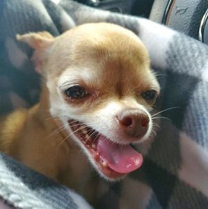 Meet your Posher, Kristy